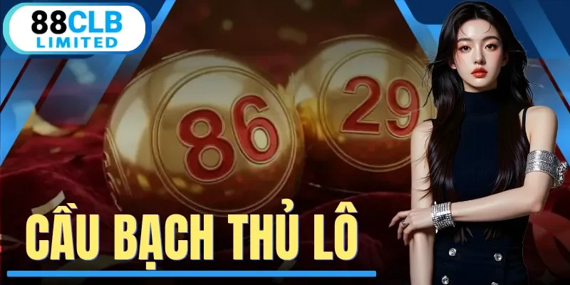 Cầu Bạch Thủ Lô - Chiến Thuật Săn Số Độc Đắc Chuẩn Xác 2026