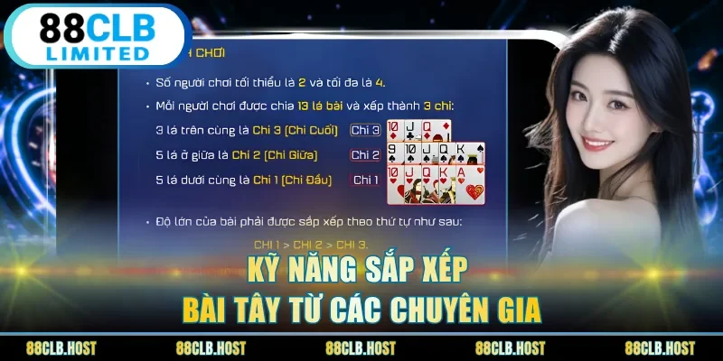 Kỹ năng sắp xếp bài tây từ các chuyên gia